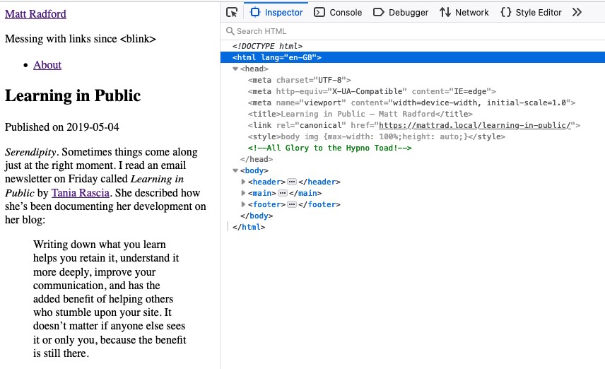 Negligible theme HTML head